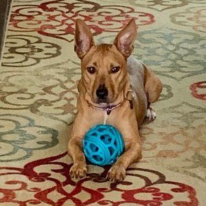 Meet your Posher, Lorie